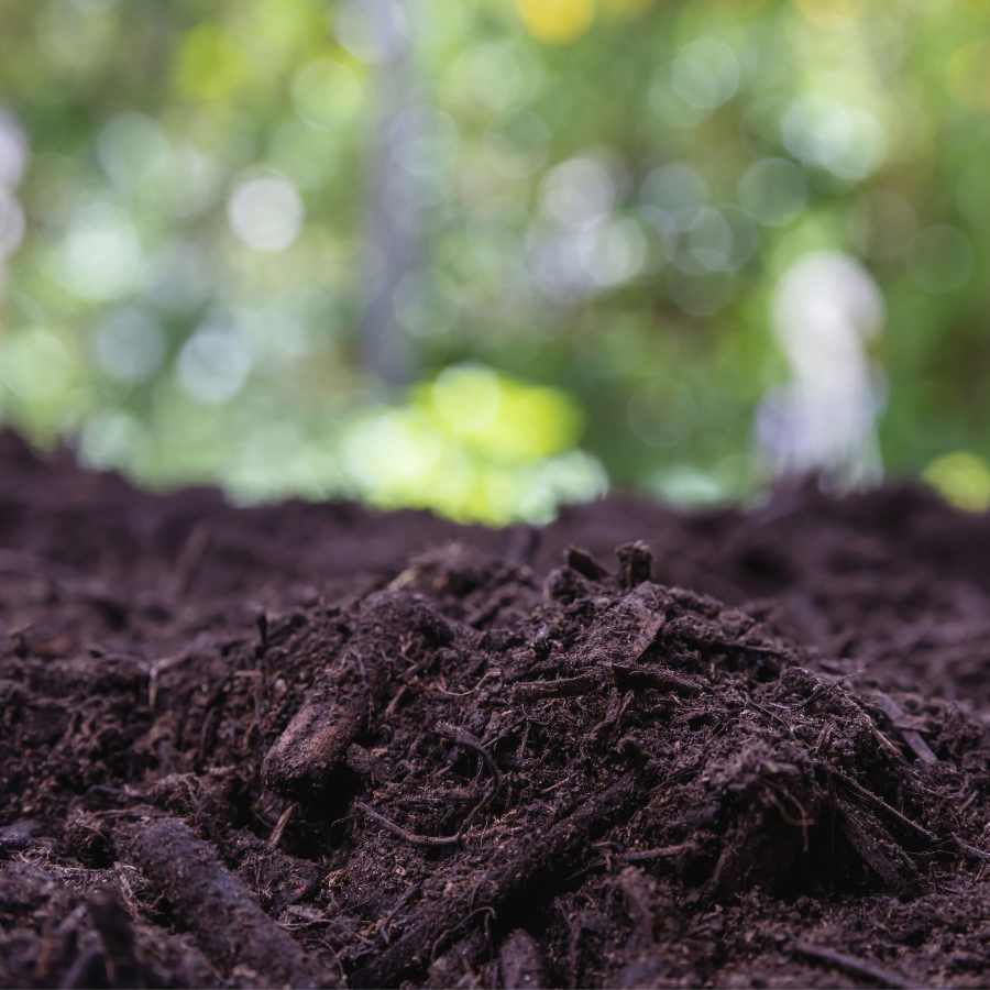 Mulch Installation