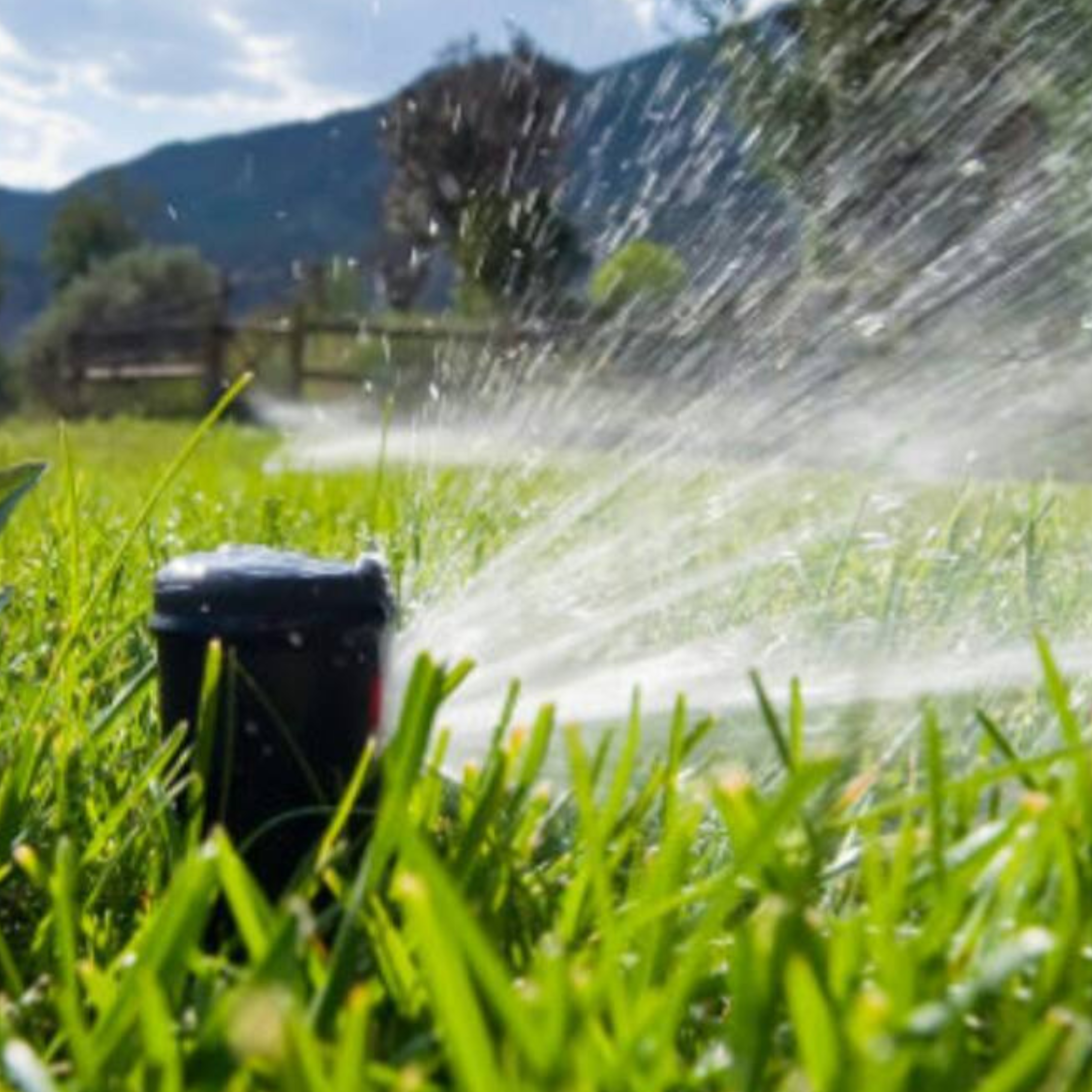 Sprinkler Maintenance Services